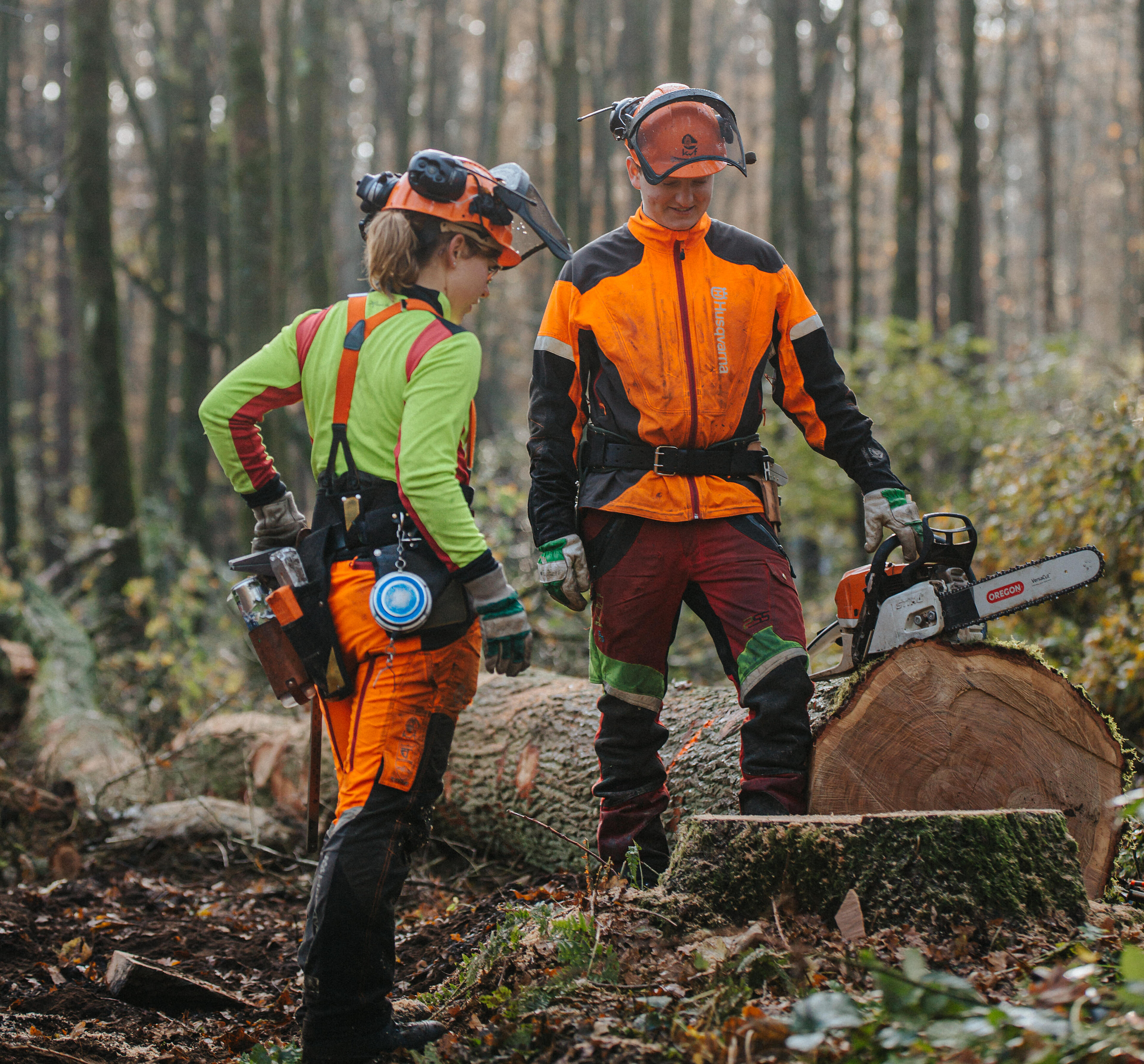 ForstwirtInnen im Wald
