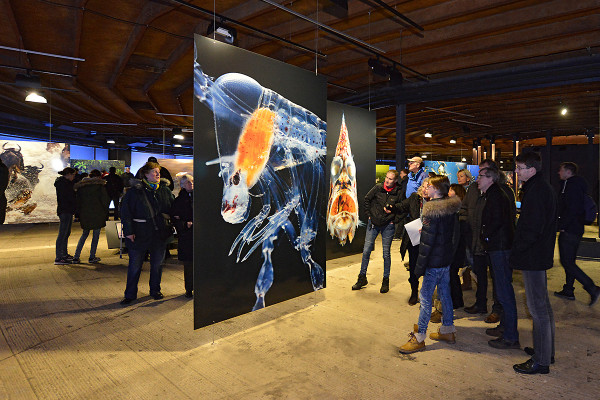 Einblick in die untere Ausstellungsebene des Gasometers mit großformatigen Fotos