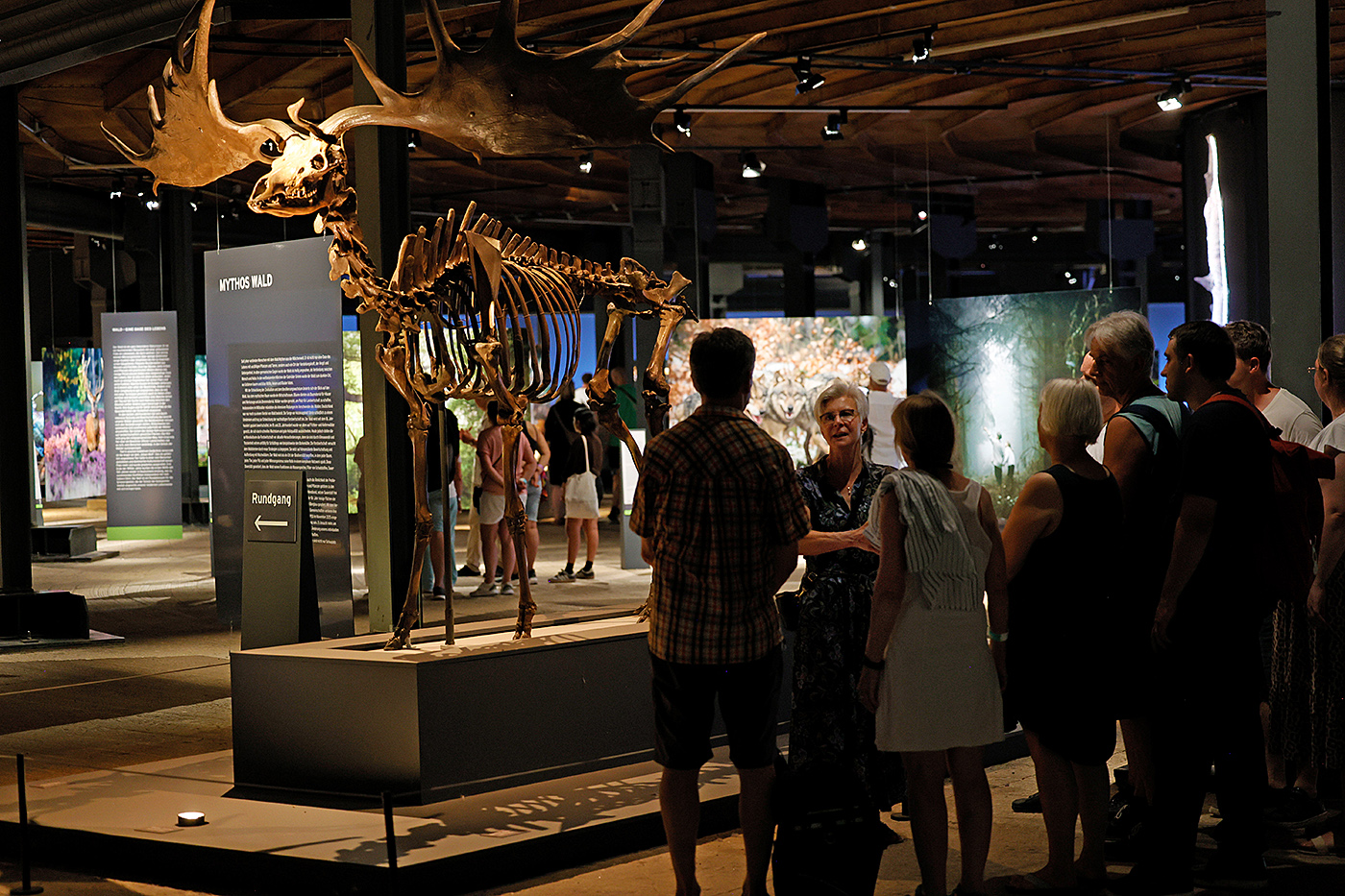 Besucherinnen und Besucher folgen einer Führung durch die Ausstellung „Mythos Wald“. Vor dem Skelet eines ausgestorbenen Riesenhirsches erläutert eine Gästeführerin die Bedeutung der Wälder für das globale Klima.